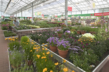 Tuincentrum